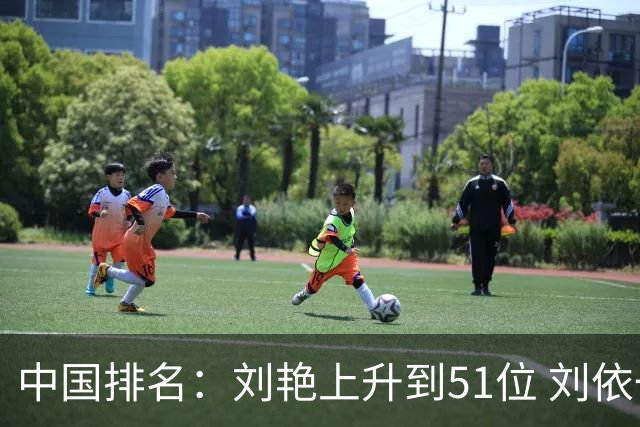 中国排名：刘艳上升到51位 刘依一许赢也攀升